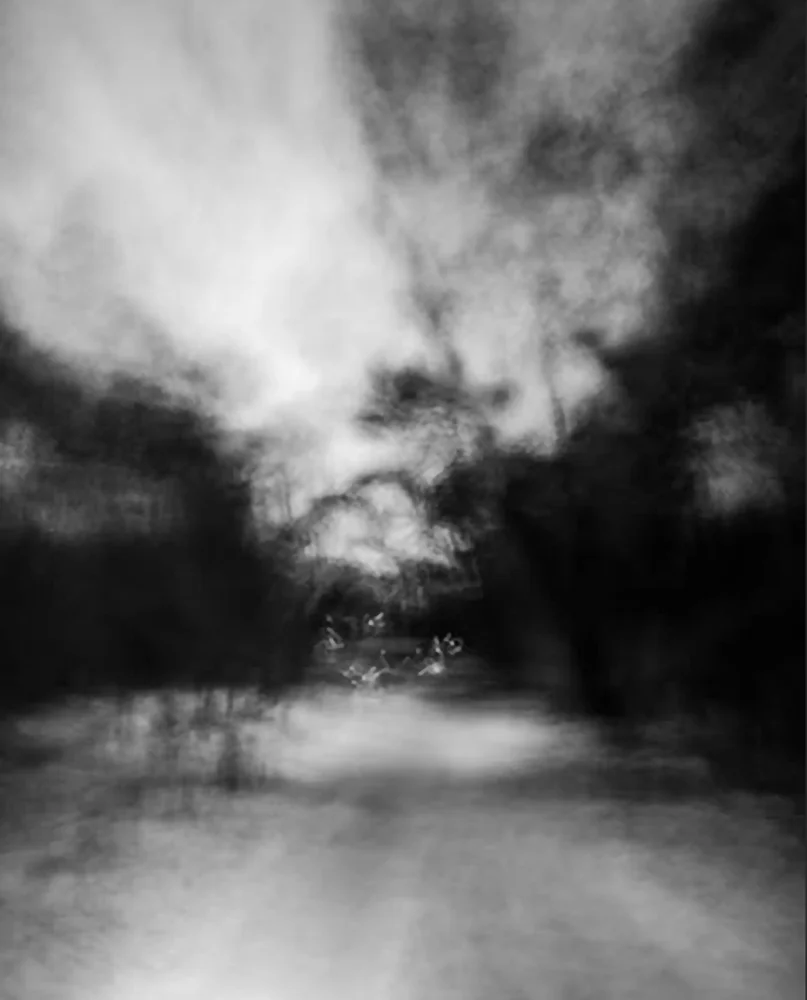 Abstract Spruce Avenue