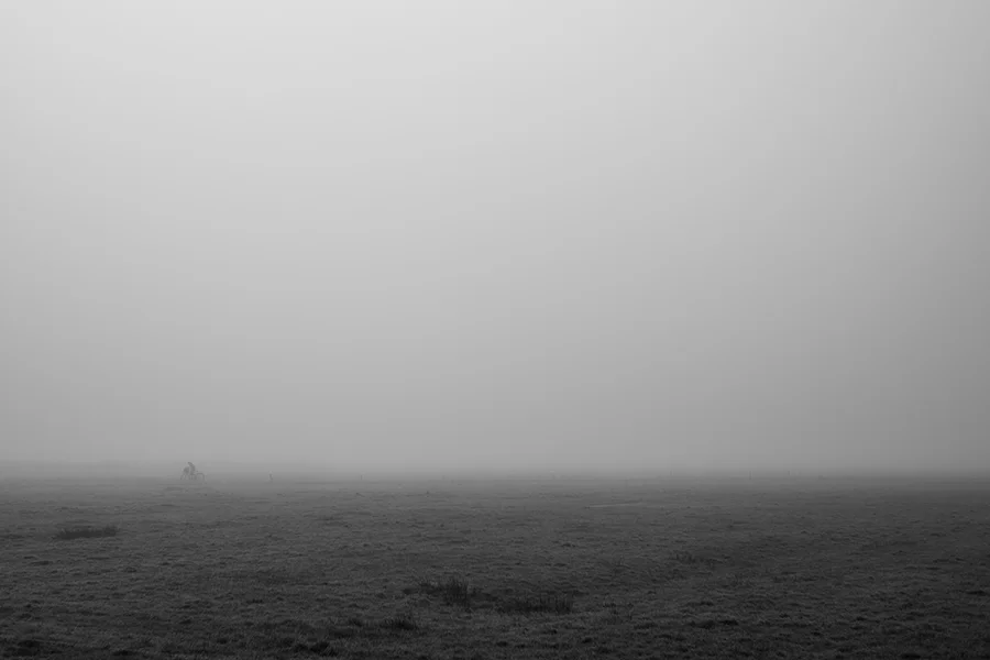 Mist — Bergen NH VII
