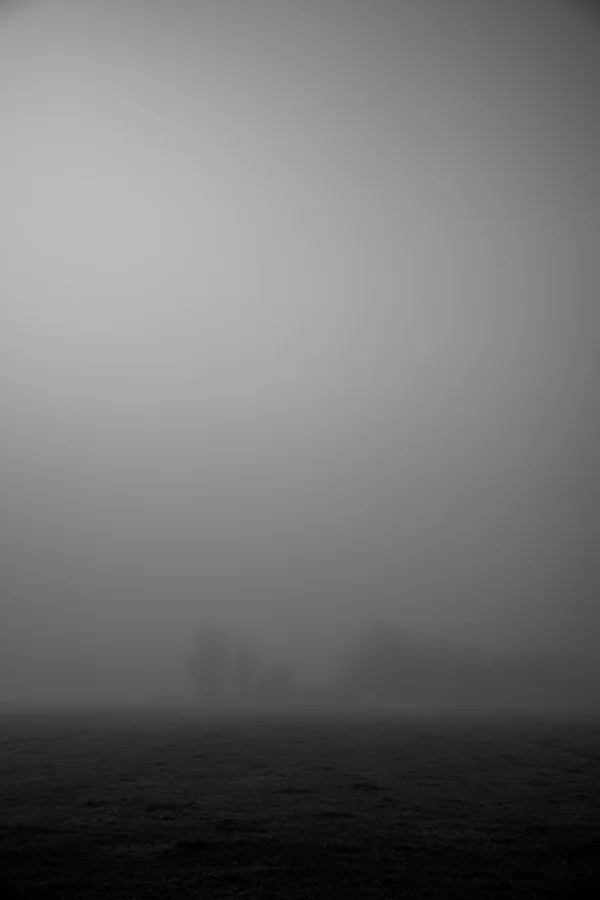 Mist — Bergen NH