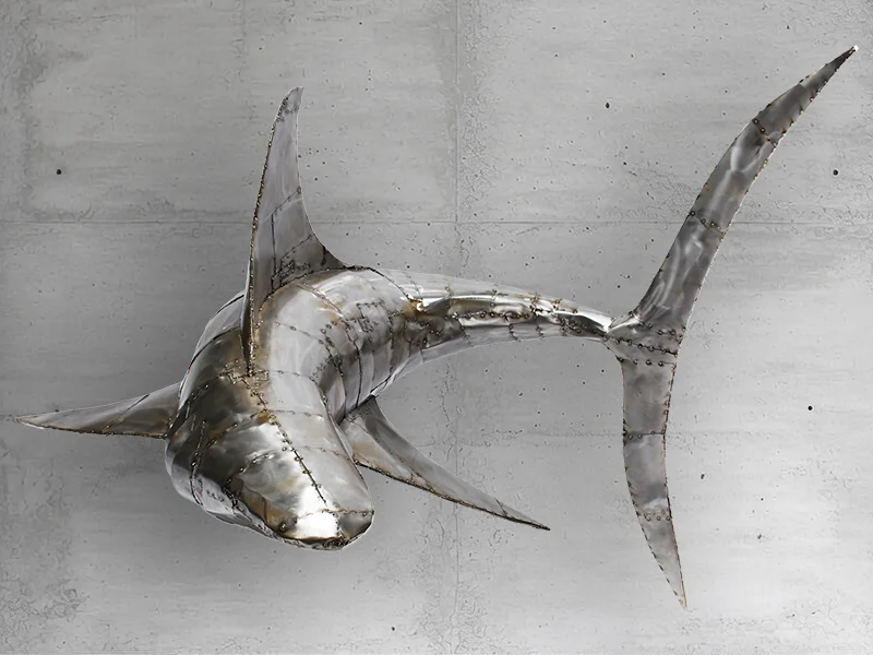Shark