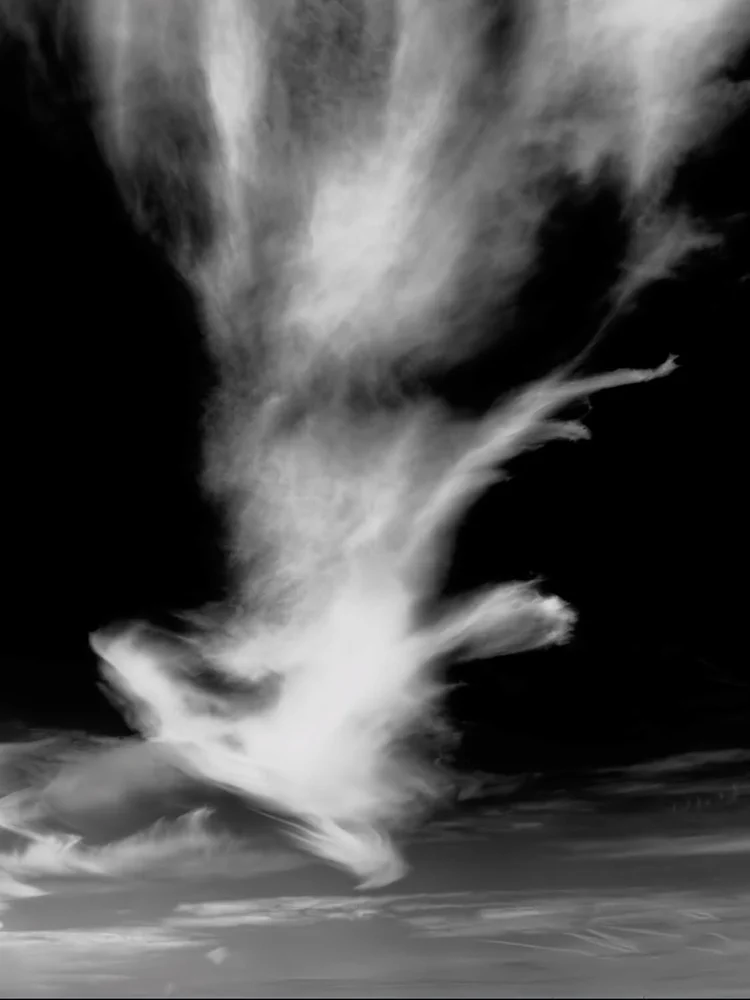 Twist
